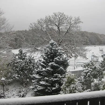 Hotel Dreikausens Landgasthaus Wildhof *