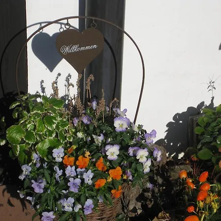Hotel Dreikausens Landgasthaus Wildhof